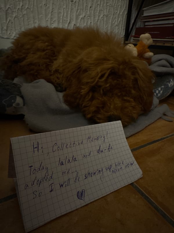 Woman and poodle share quiet moments at home in Montenegro