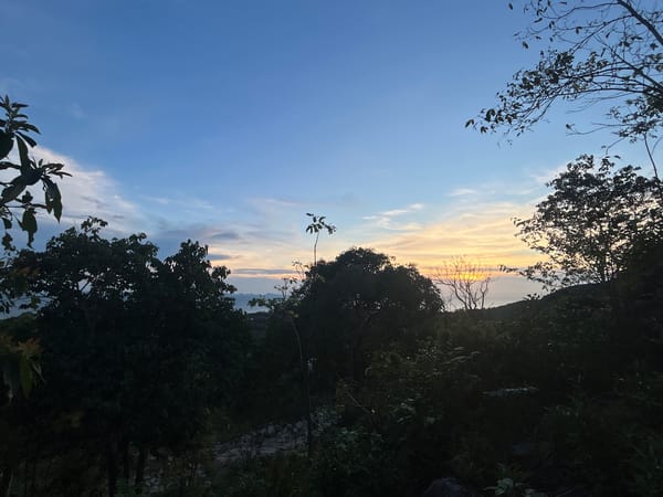 Sunset and birds captured in Ko Phangan evening skies