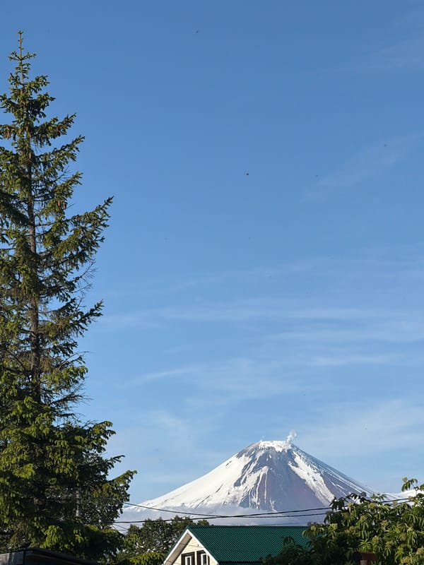 Kamchatka backyard afternoon, volcano looming in the distance