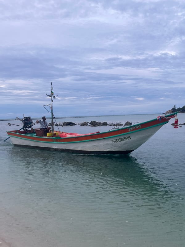Lazy morning on a Ko Pha-ngan beach: boats, dogs, and shoreline wandering