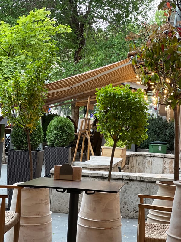 Lunch gathering documented at Yerevan outdoor restaurant