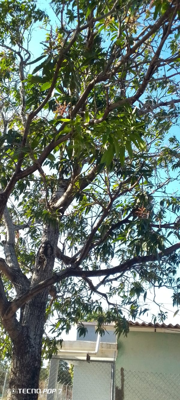 Resident documents quiet neighborhood scenes in Altagracia, Venezuela