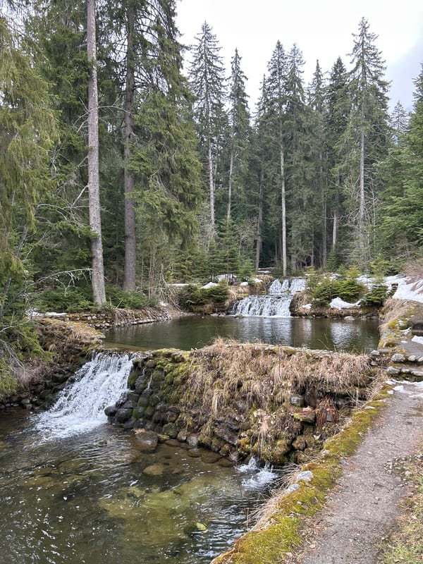 Stream with waterfalls photographed in Bulgarian forest near Samokov