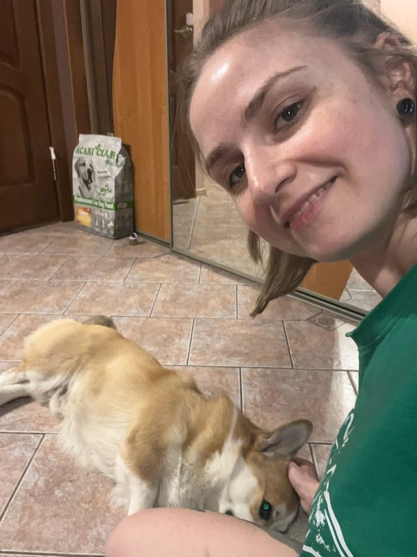 Person and Corgi share quiet moment in Novosibirsk home
