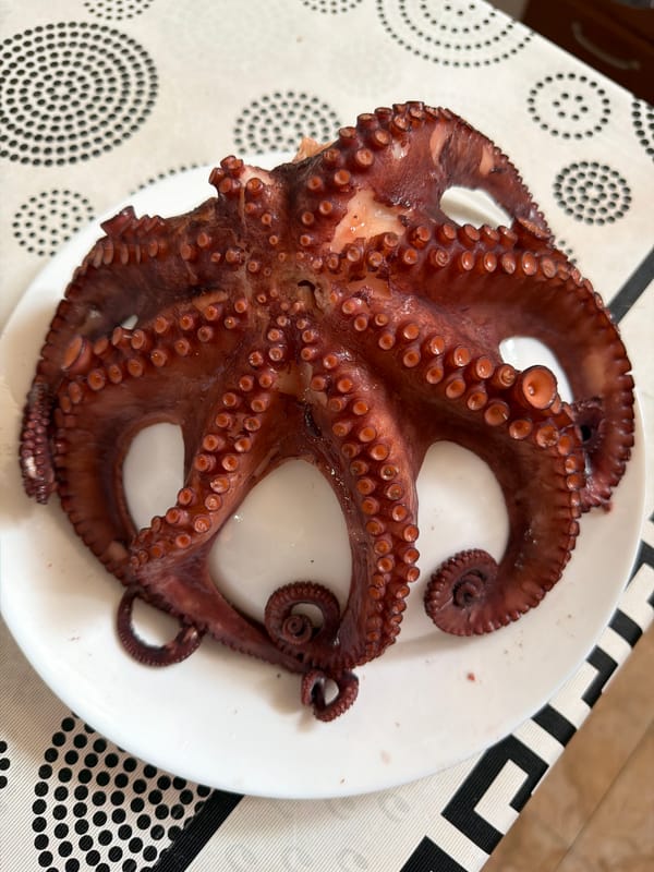 Octopus dish and candy store documented at same coordinates