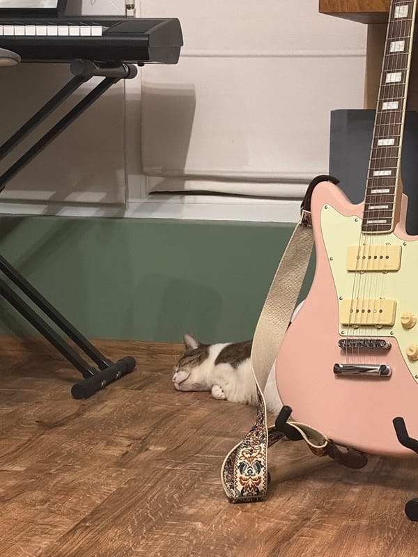 Cat naps in front of pink guitar and keyboard stand