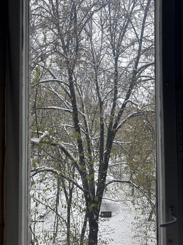 Late spring snow dusts green trees in Moscow