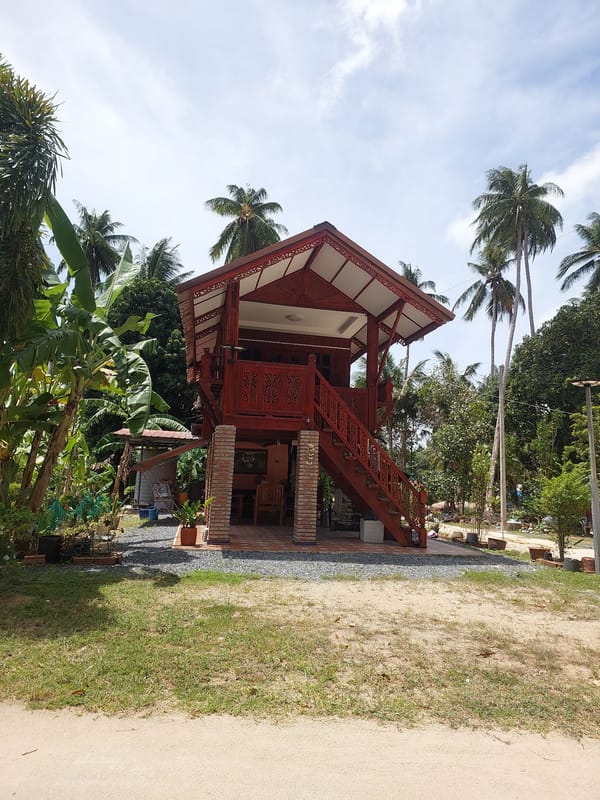Traditional stilt houses and coconut piles in rural Koh Samui