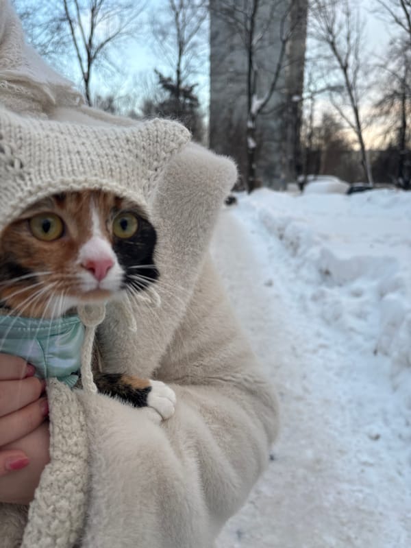 Person holds calico cat during snowy afternoon in Moscow