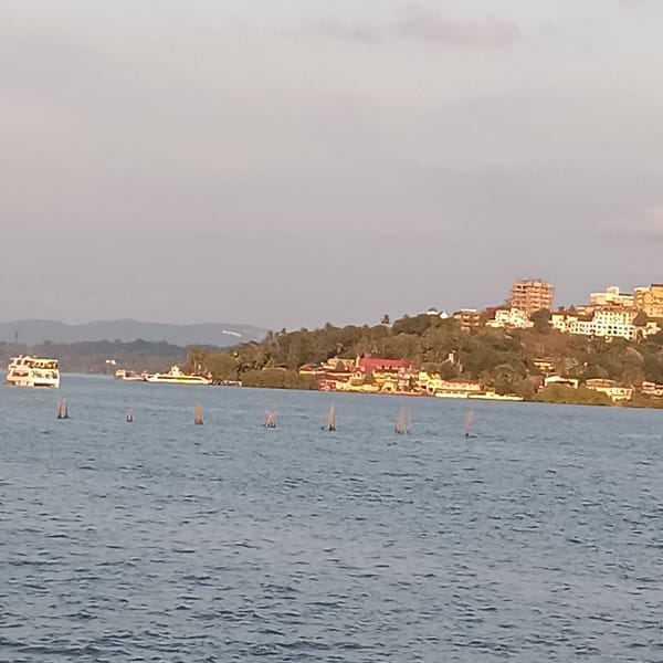 Boat excursion with photography session documented on Mandovi River, Goa
