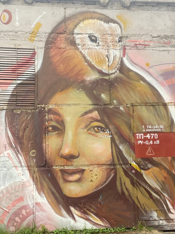 Street art documented in Novokuznetsk features animal-human hybrid murals