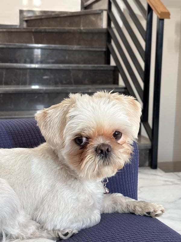 Evening domestic moments captured in Mexican residence