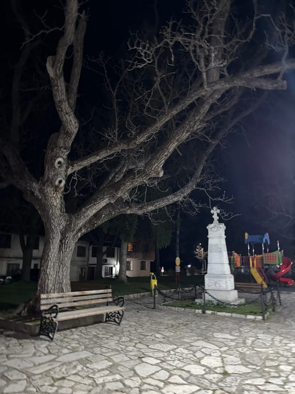 Evening stroll documented in Razlog, Bulgaria with dog and springtime scenes