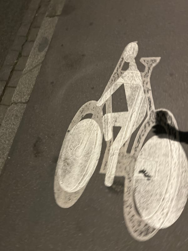Witness documents nighttime Strasbourg street scenes and urban details