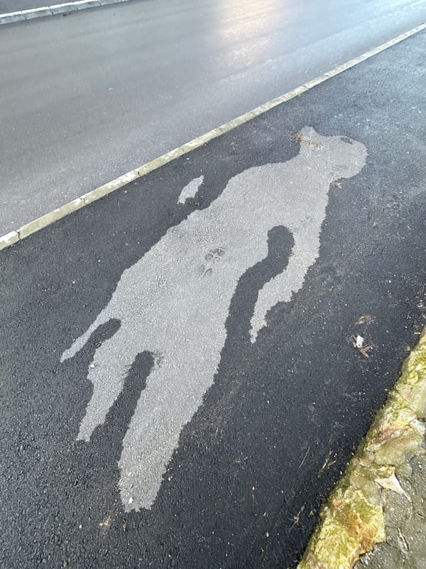 Weather shifts observed in Dobrich with sun, clouds, wet pavement