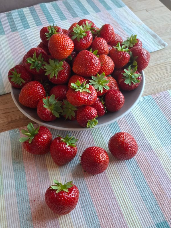 Summer herring lunch with strawberries and sweets in Åsgårdstrand