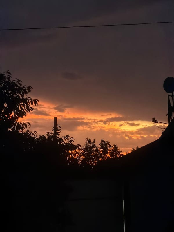 Summer evening in a Bila Tserkva yard at dusk