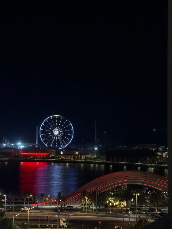 Colorful Ferris wheel lights up a city waterfront at night