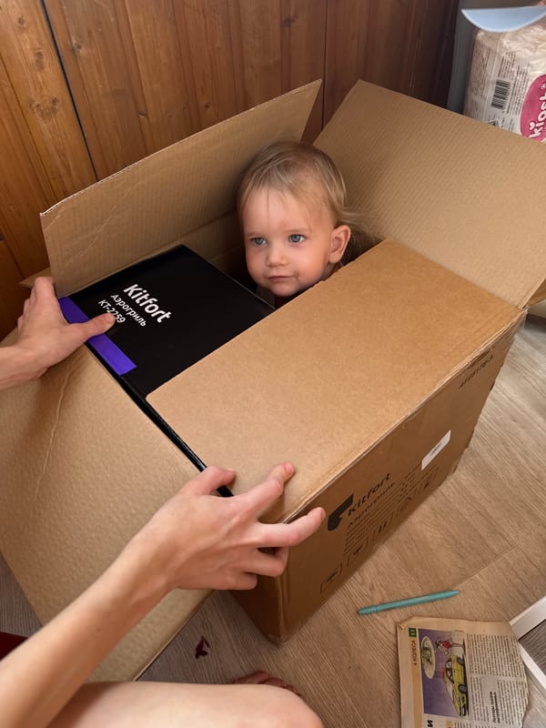 Curious peek from inside a cardboard box, Moscow