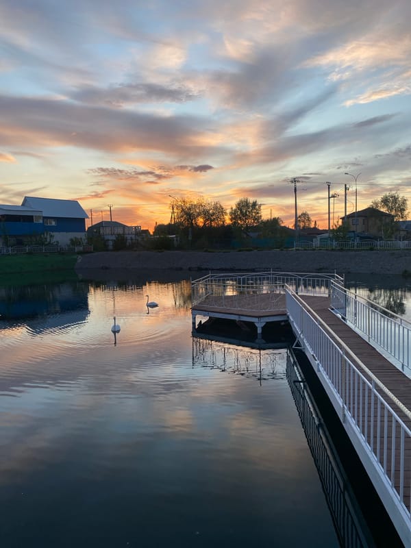 Two swans spotted at sunset lake in Tyumen, Russia