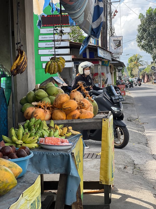 Morning street scenes documented across Ubud District, Indonesia