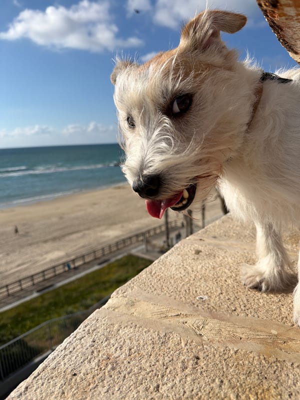 Afternoon café scenes captured in seaside Bat Yam