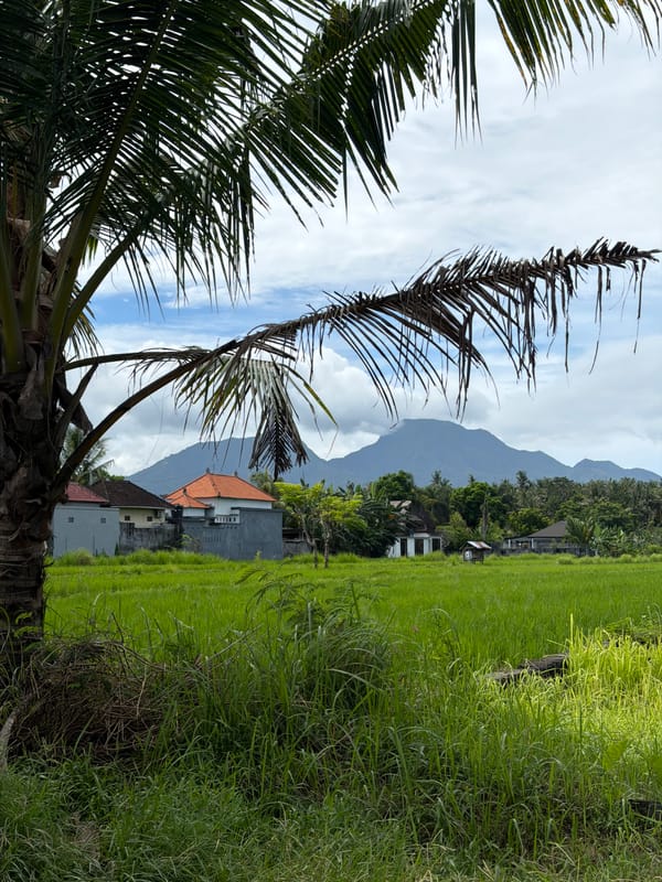 Morning agricultural landscape documented in Karangasem, Indonesia