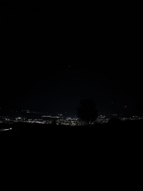 Crescent moon and tree silhouette observed in Marulevo, Bulgaria