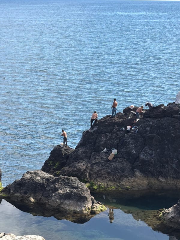 Cliff divers gather on rocky coastline in Funchal, Portugal