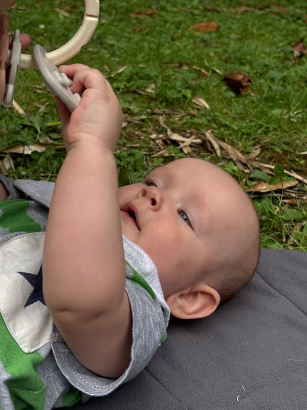 Afternoon in a Sochi park with a baby and blooming oleanders