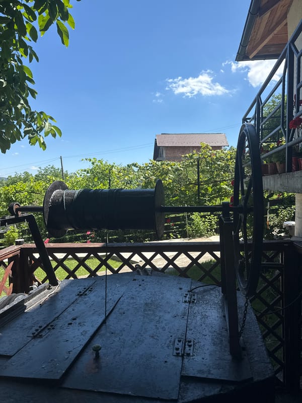 Lazy summer afternoon in a Târgu Neamț backyard