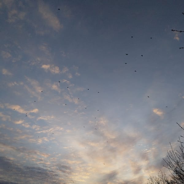 Casual river scenes captured during golden hour in Yekaterinburg