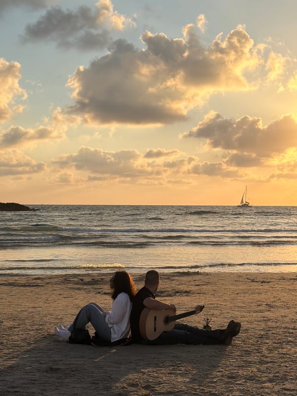 Jellyfish washes ashore on Tel Aviv beach