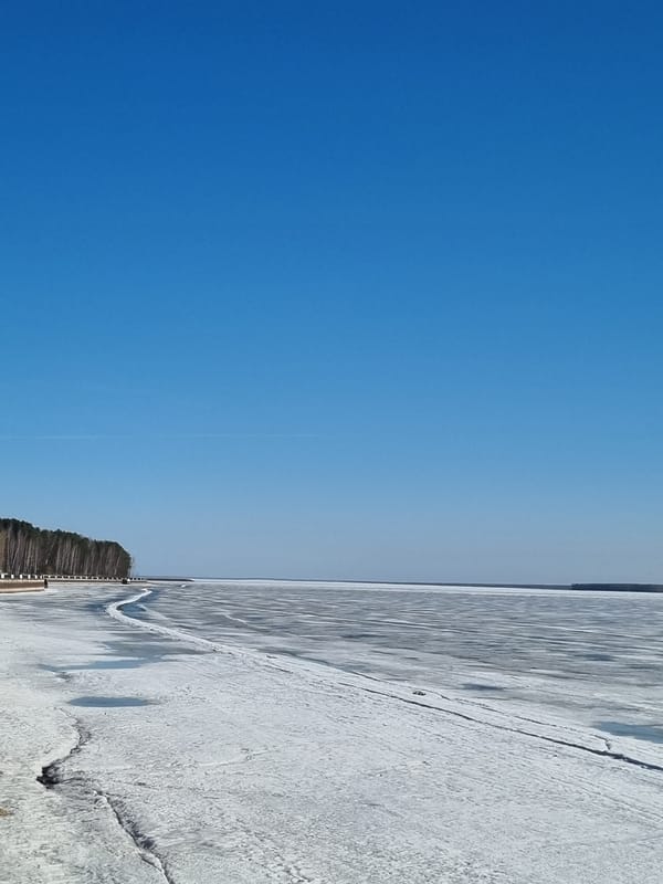 Woman captures winter landscape selfie in Chaikovsky Russia