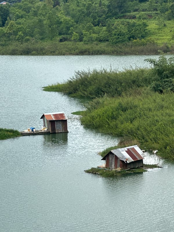 Morning lakefront scenes captured in Da Lat, Vietnam