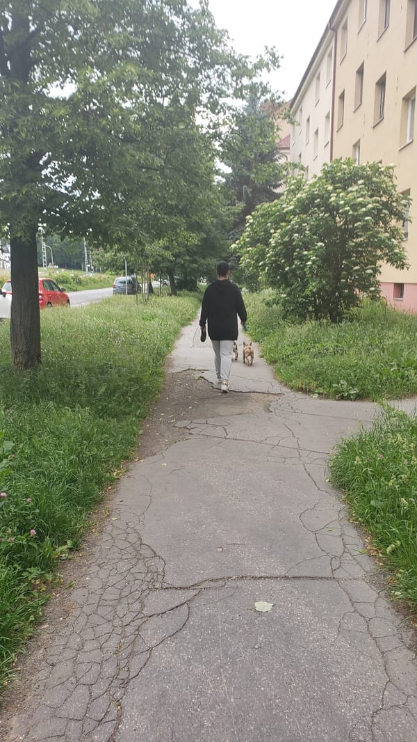 Morning street life documented across Prešov, Slovakia