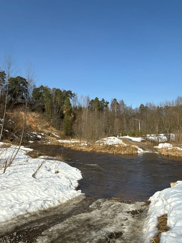 Clear morning landscapes documented in rural Voksherino region, Russia