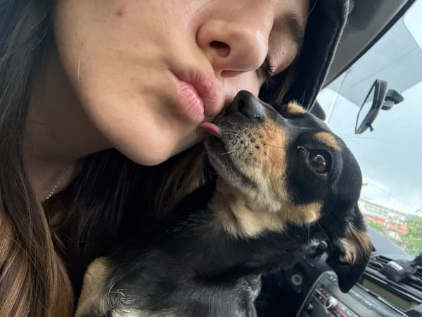Woman and dachshund puppy share quiet moment in car