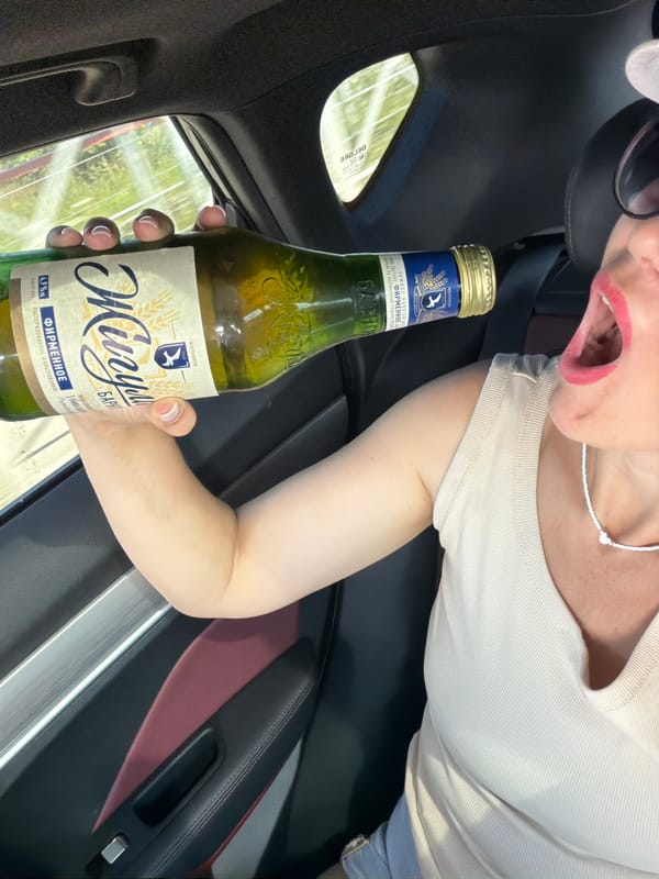 Beer bottle and highway views from a car in Chaikovsky