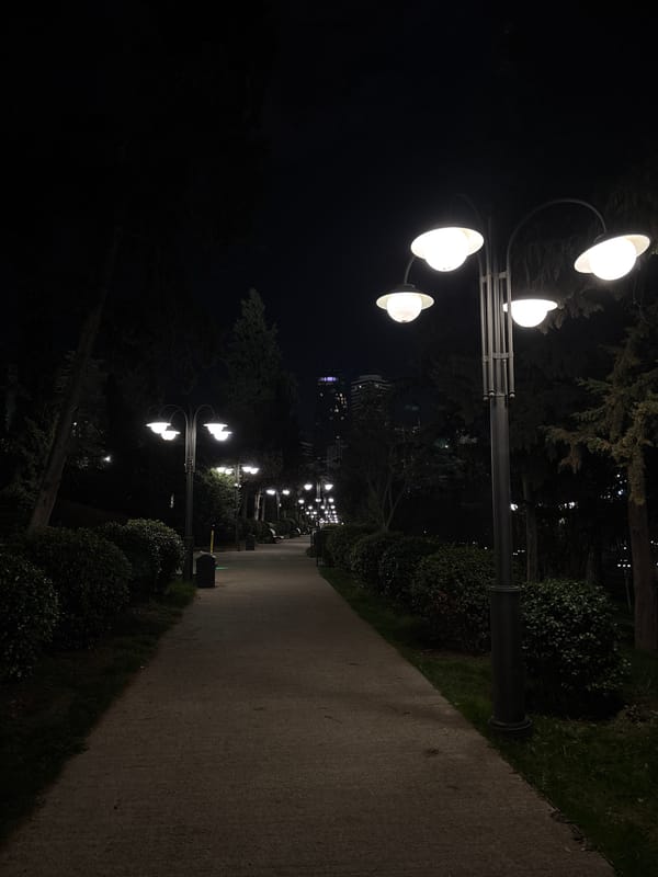 Illuminated park pathway captured at night in Tbilisi