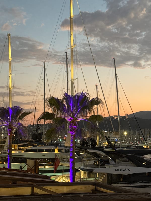Palma marina and La Seu cathedral at dusk