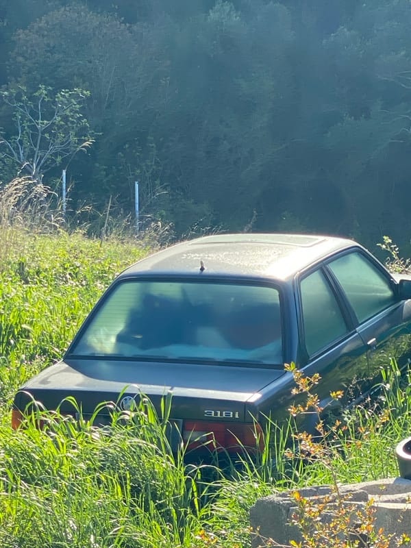 Spring morning observations captured across Budva, Montenegro