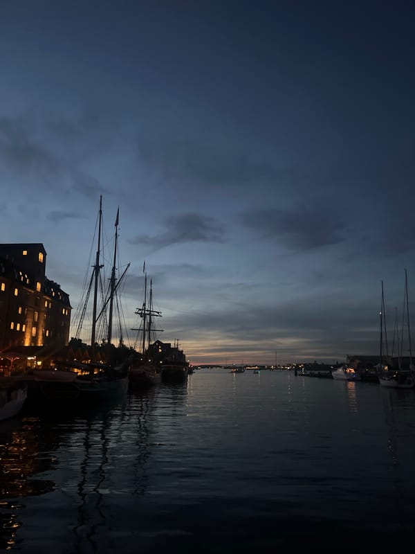 Copenhagen waterfront comes alive on a summer evening