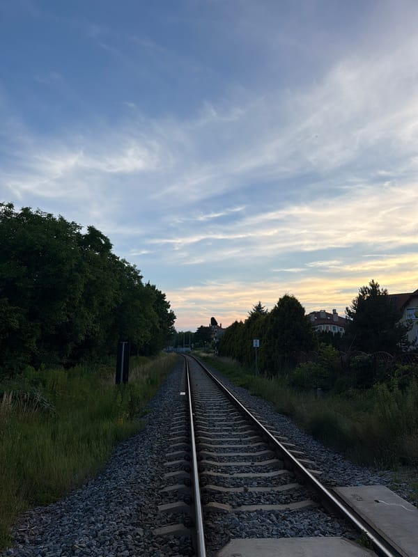 Evening wander: rail lines, spruce trees, and city edges at dusk