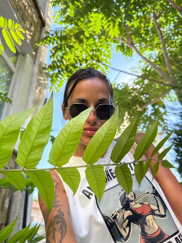 Quick summer moments around Pleven, Bulgaria