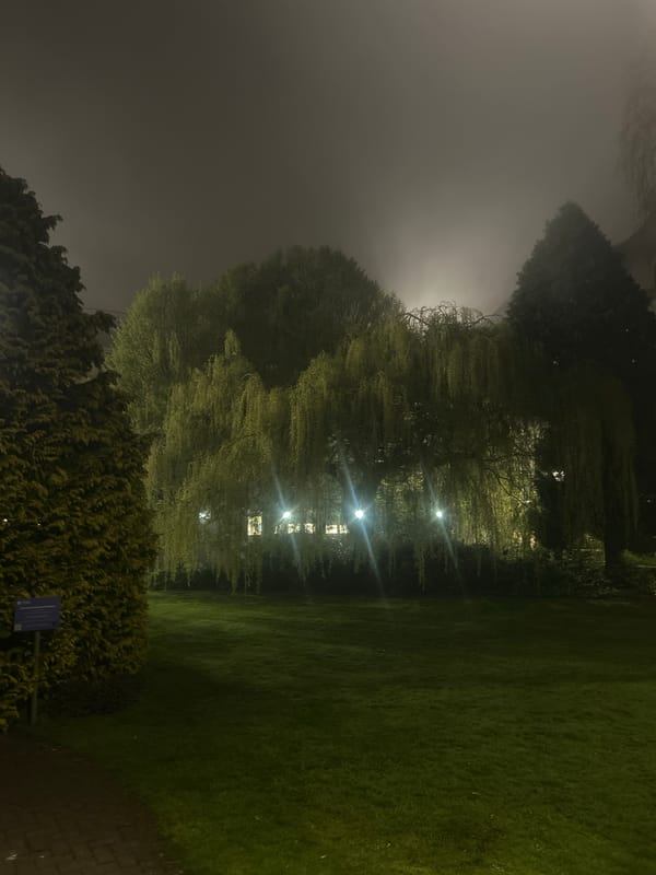 Dense fog envelops Dundee parks and buildings overnight