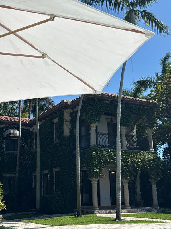 White parasol spotted amid tropical greenery in Miami Beach