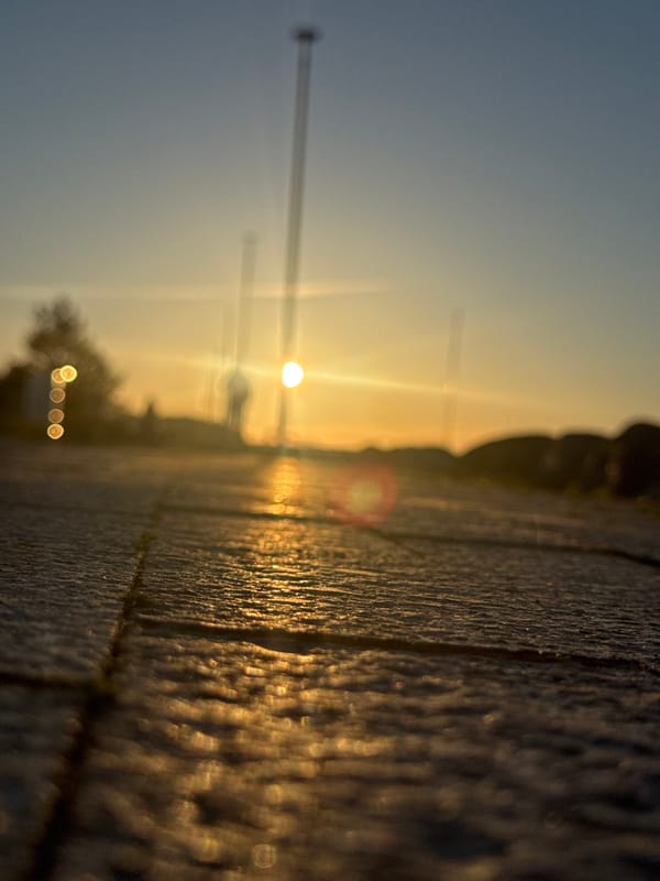Golden hour captured across Tallinn's waterfront marinas