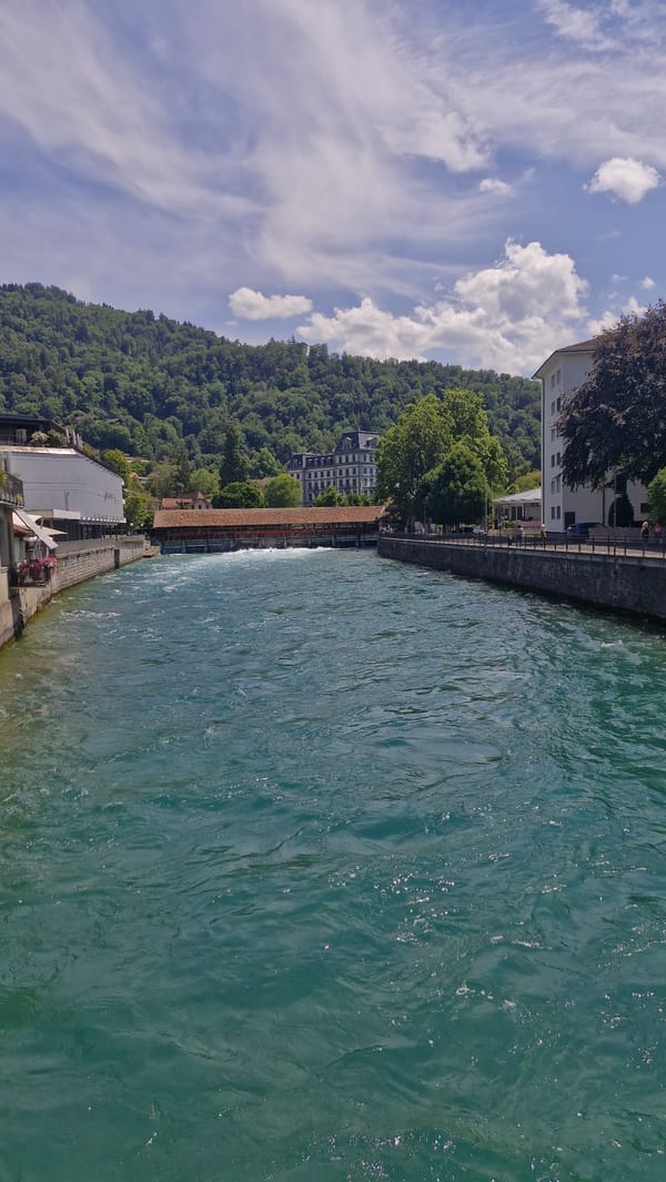 Sunny city day: river views, cobblestone plazas, and street eats