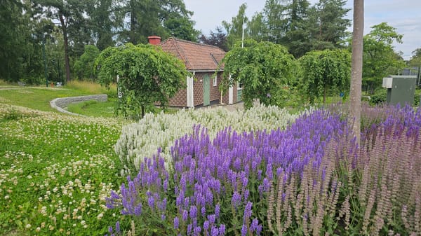 Street-level loop through central Linköping's squares, statues, and summer gardens